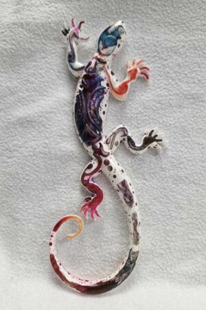 Salamandre blanche et multicolore