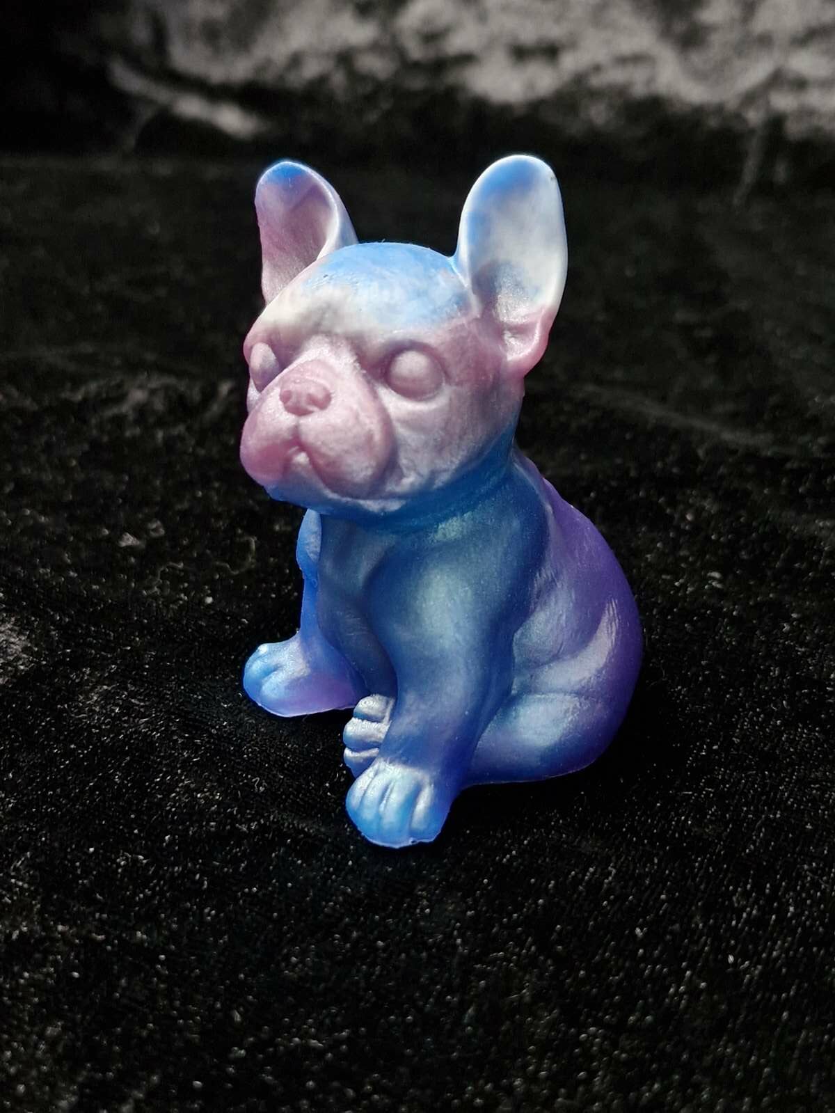 Chien bouledogue – Image 2