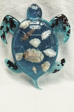 Tortue coquillage bleu turquoise