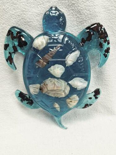 Tortue coquillage bleu turquoise – Image 2
