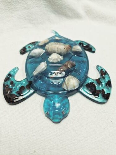 Tortue coquillage bleu turquoise – Image 3